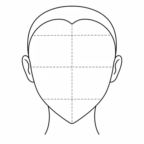 Heart face outline: A wider forehead tapering to a narrower, sometimes pointed chin.