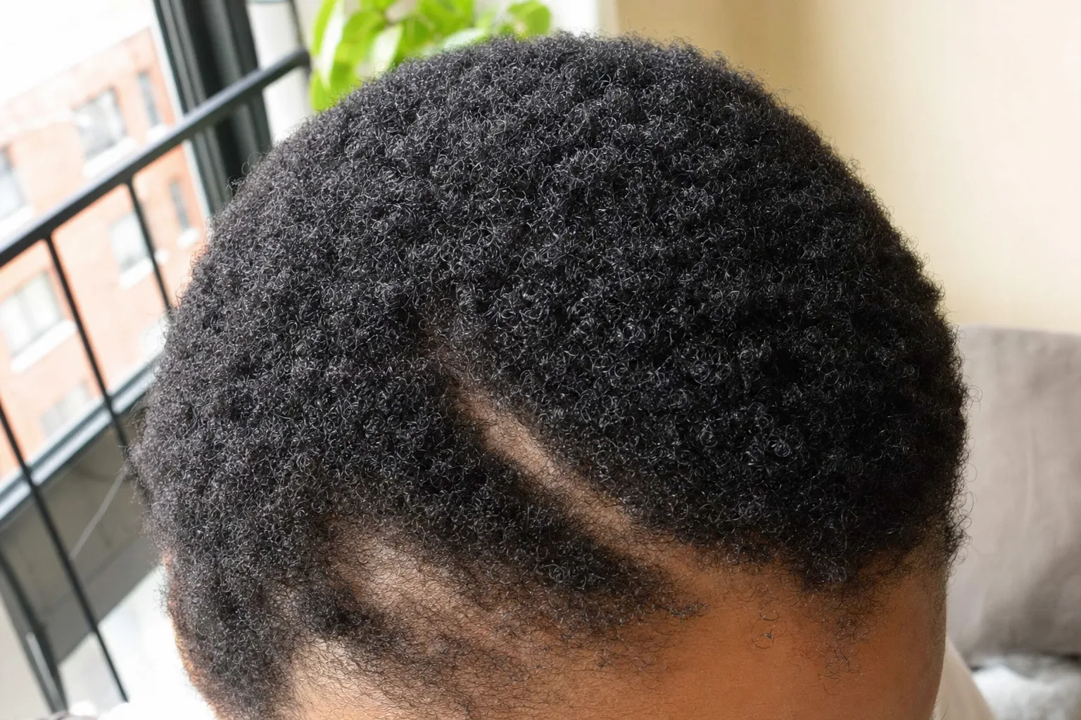 Close-up of dry type 4c hair showing individual coils and the scalp partings